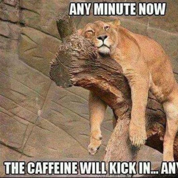 Meet your Posher, Alicia - Picture 1 of 1